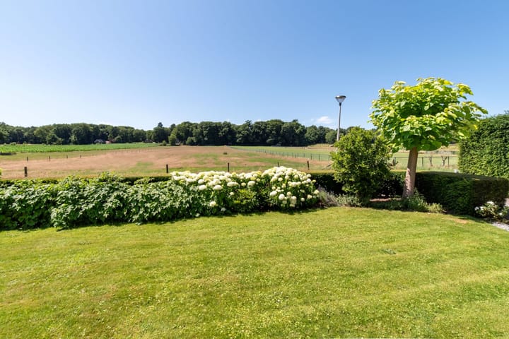 Foto 7 van Pastoor Rientjesstraat 5