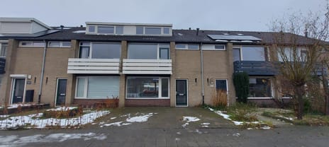 Bergschot main image