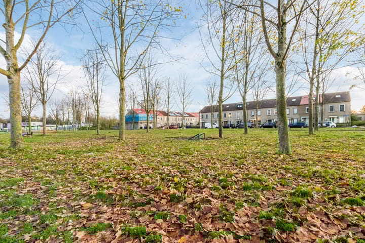 Foto 42 van Moesdistelstraat 19