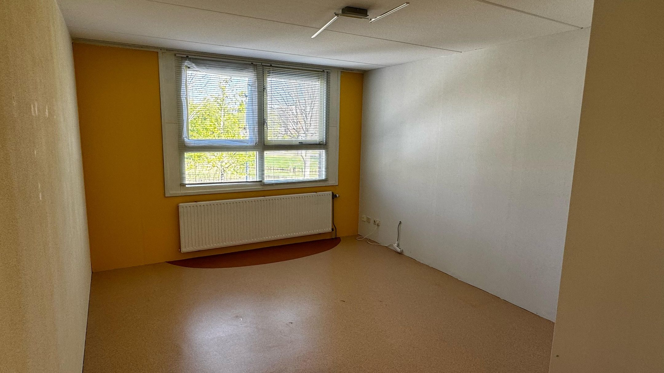 Foto 9 van Rijnland 371