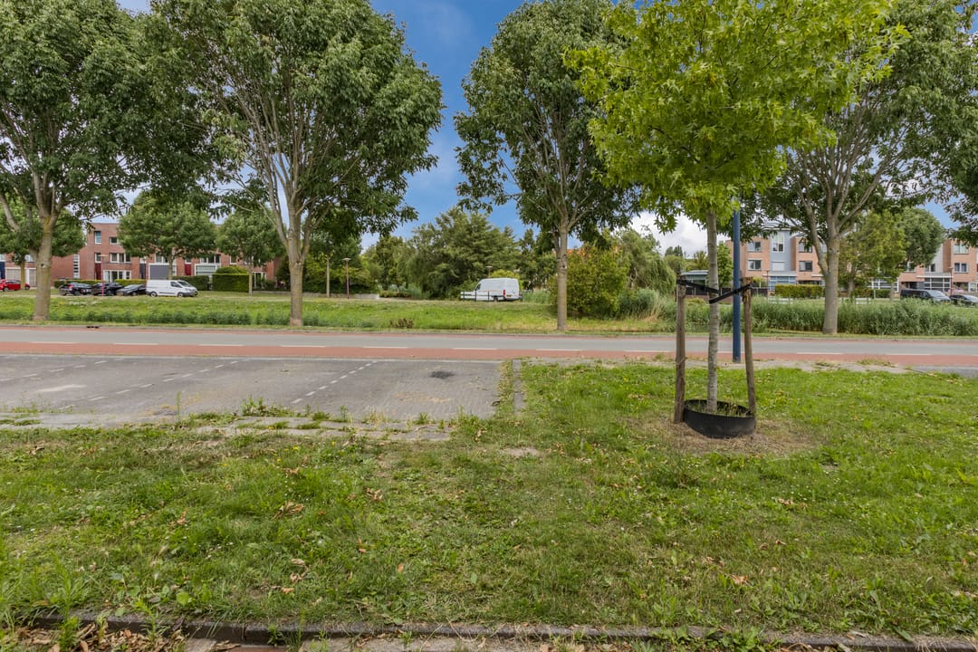 Foto 28 van Rijnland 371