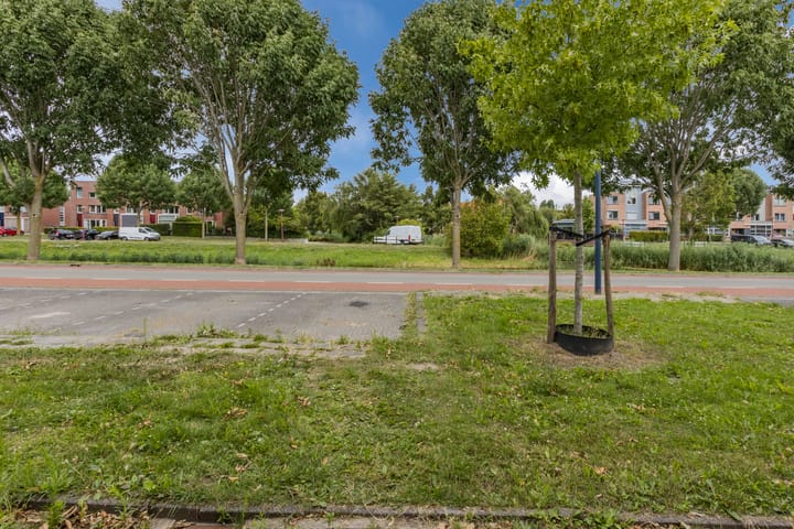 Photo 28 of Rijnland 371