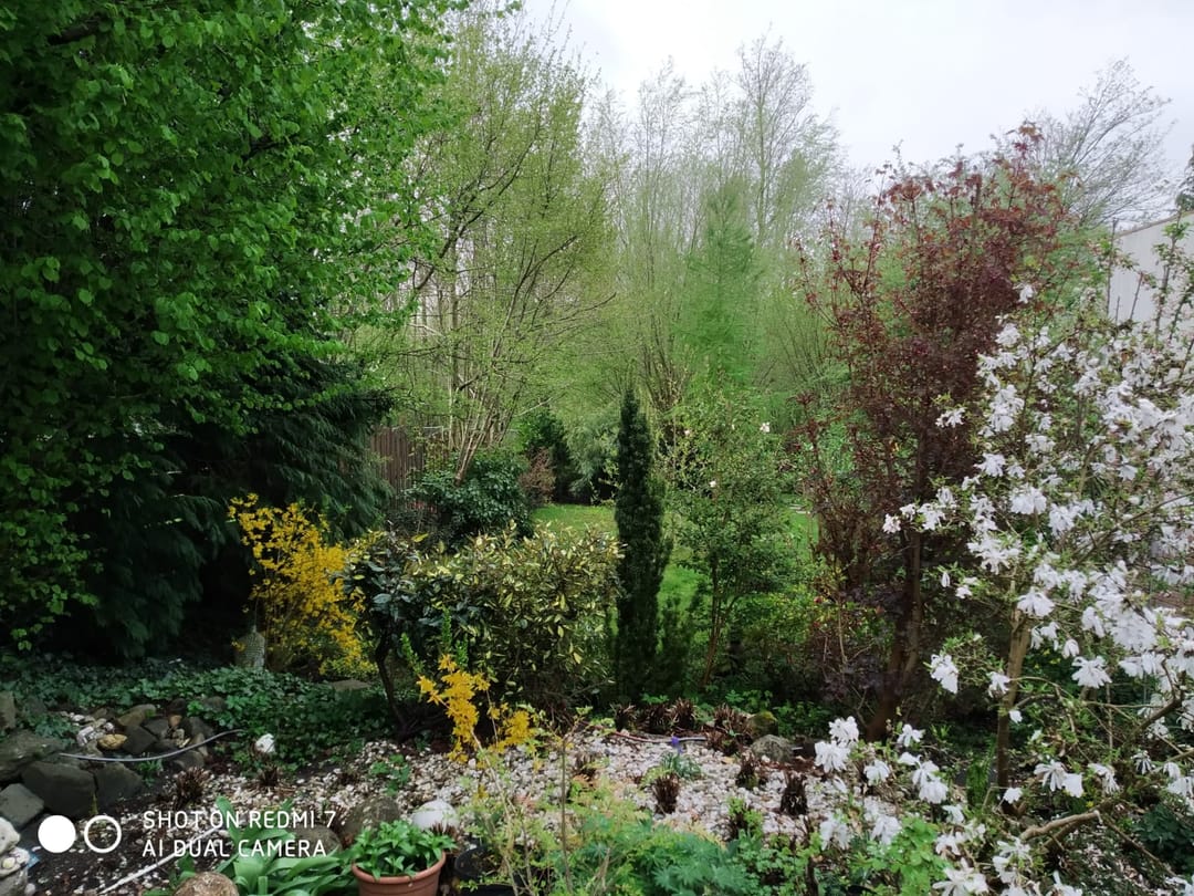 Foto 43 van Verlengde Hoofdstraat 10