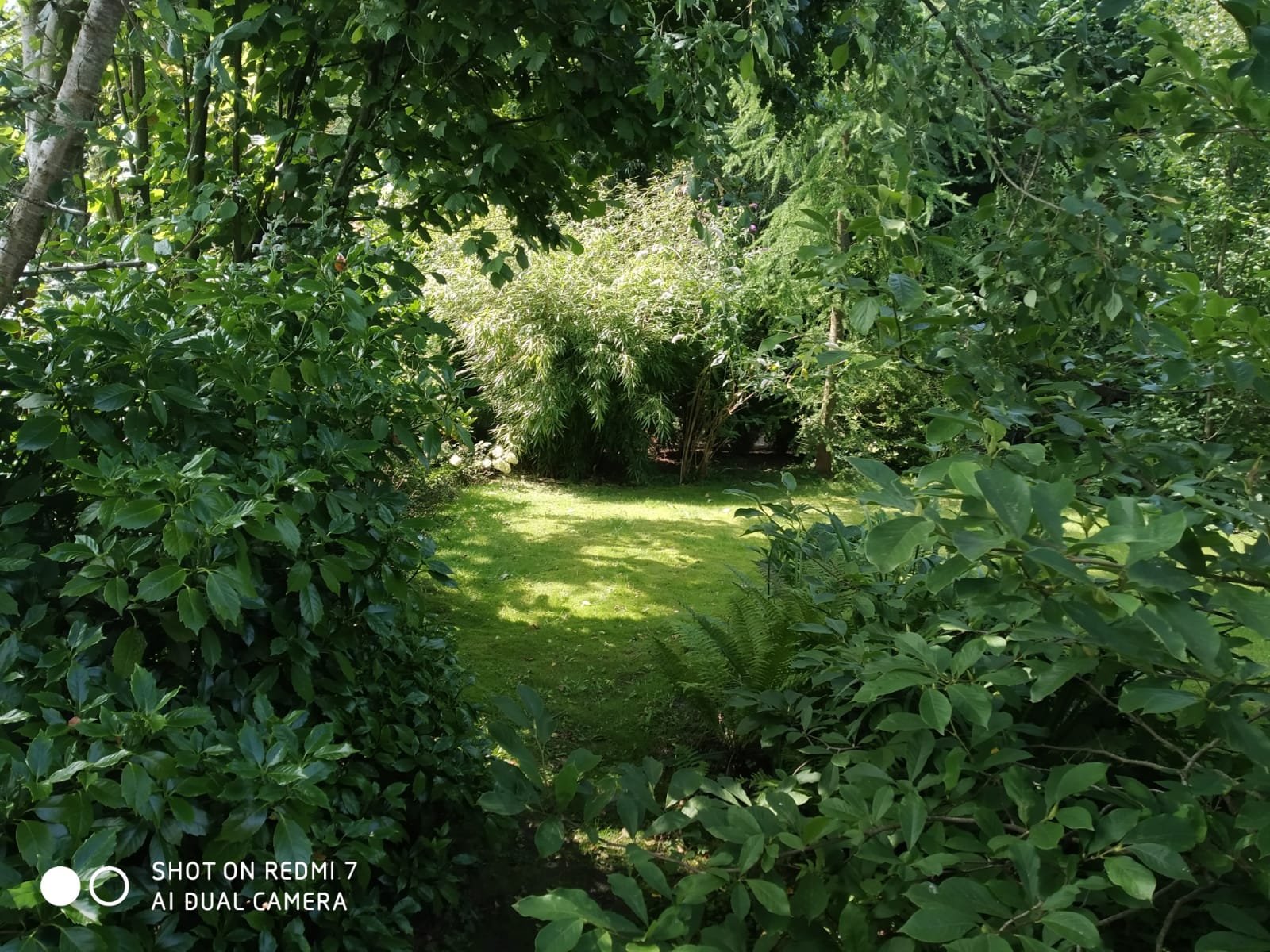 Foto 45 van Verlengde Hoofdstraat 10