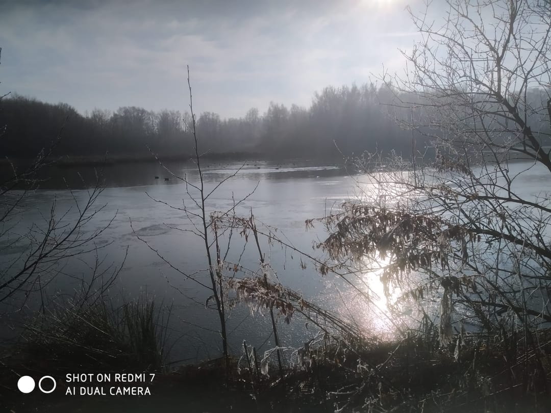 Foto 56 van Verlengde Hoofdstraat 10