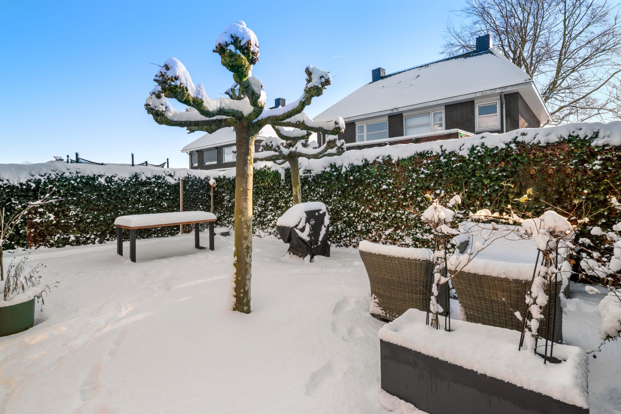 Foto 33 van Olmenstraat 20