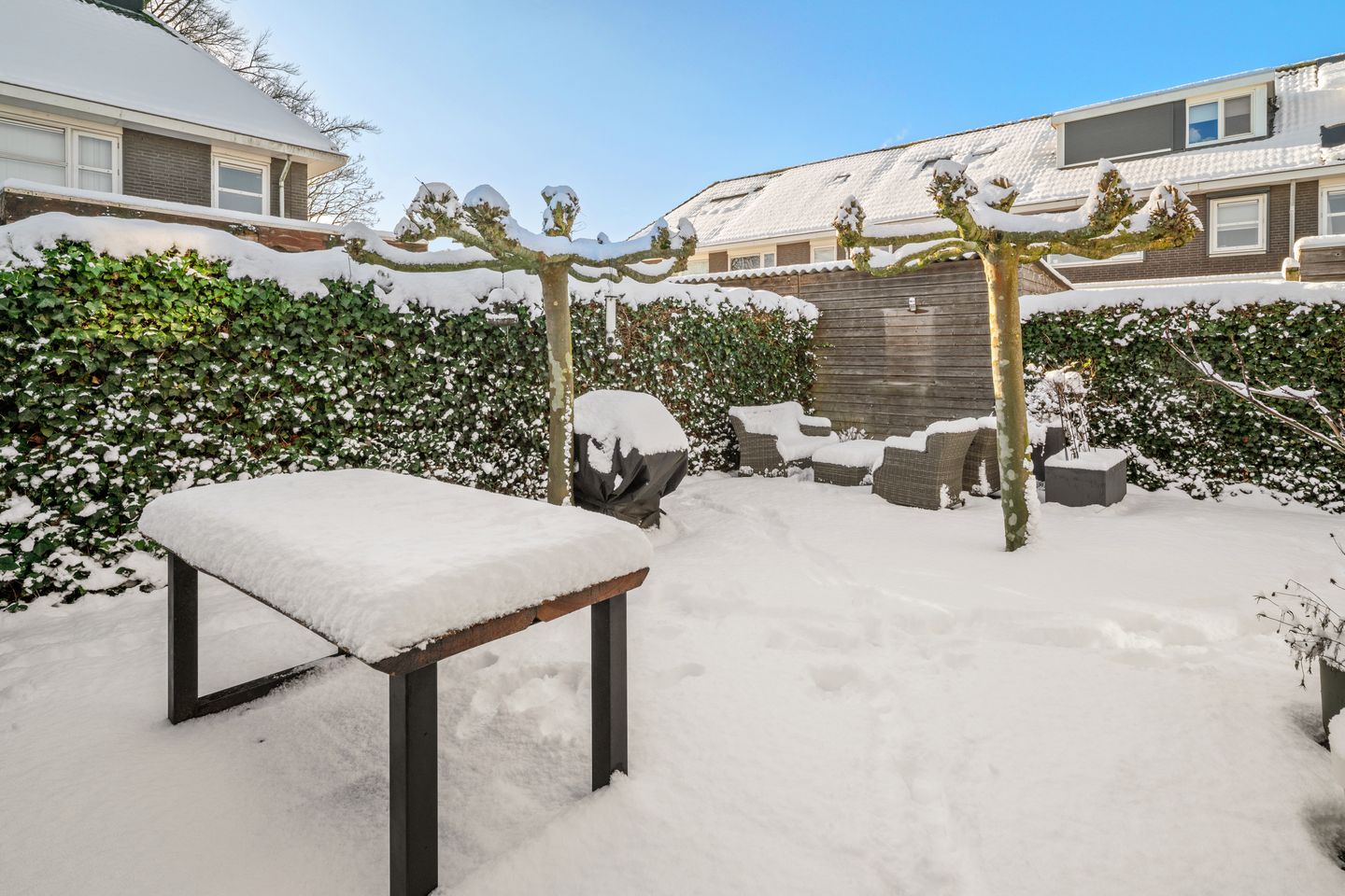 Foto 34 van Olmenstraat 20