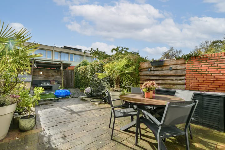 Foto 10 van Bertram 155