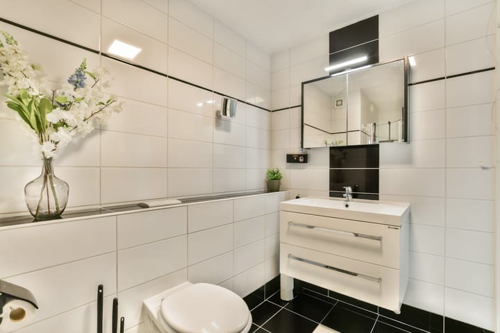 Foto 16 van Bertram 155