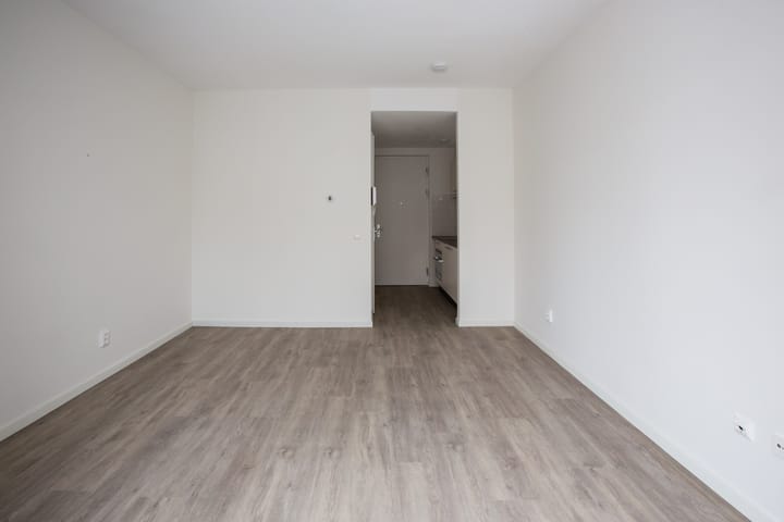 Foto 3 van Rogier van der Weydestraat 6-A21