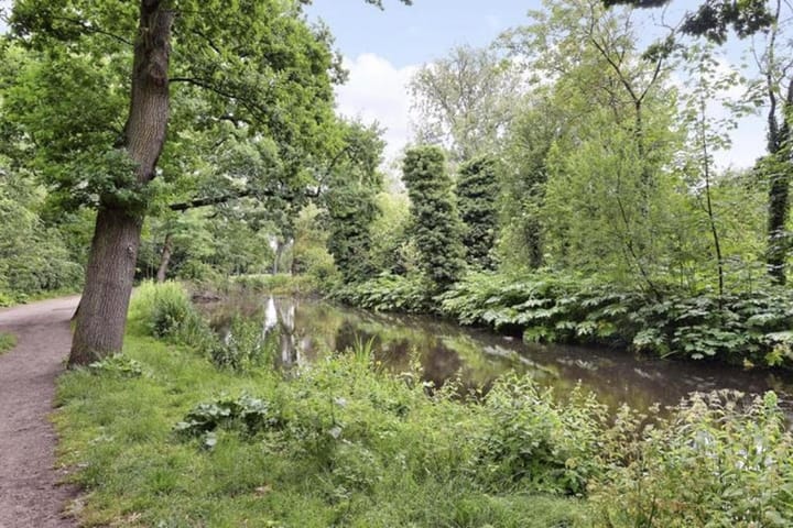 Photo 14 of Gerard Brandtstraat 6-1