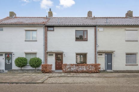 undefined main image