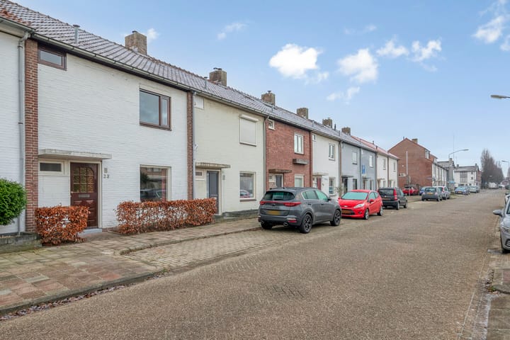 Foto 35 van Lange Mees 23