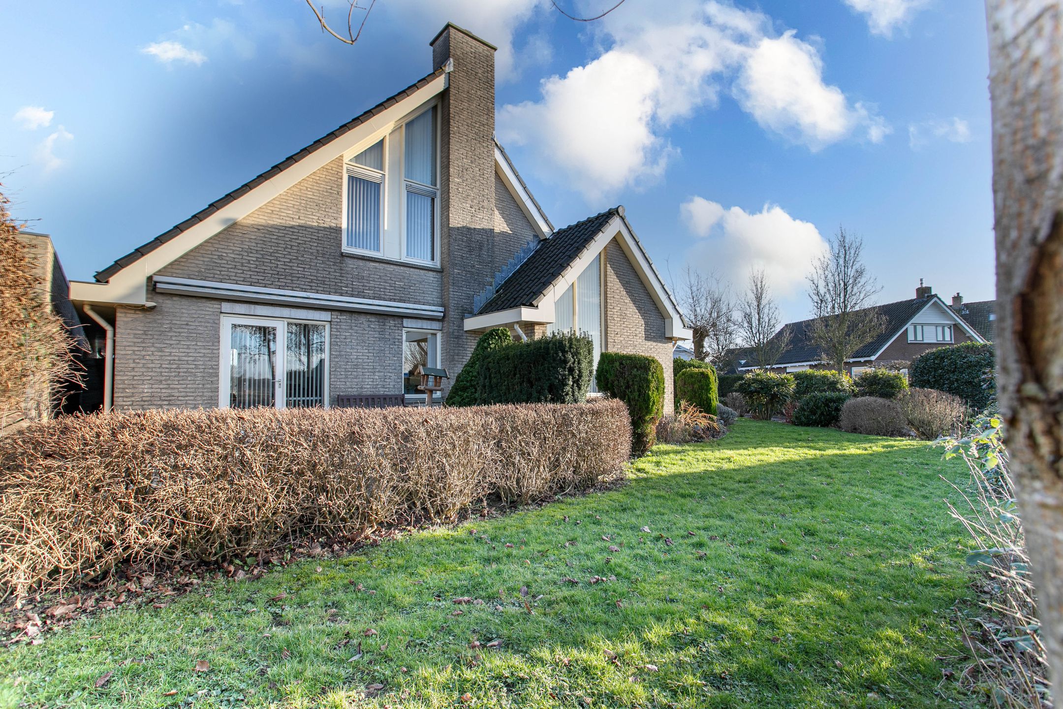 Foto 3 van Haarpad 9