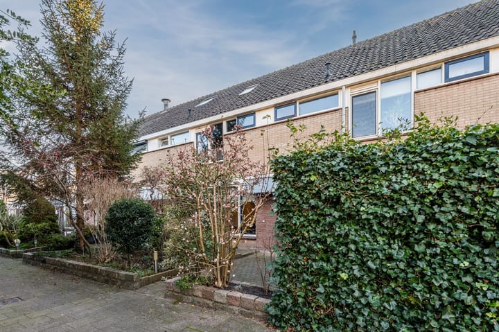 Foto 6 van Henegouwerhof 27