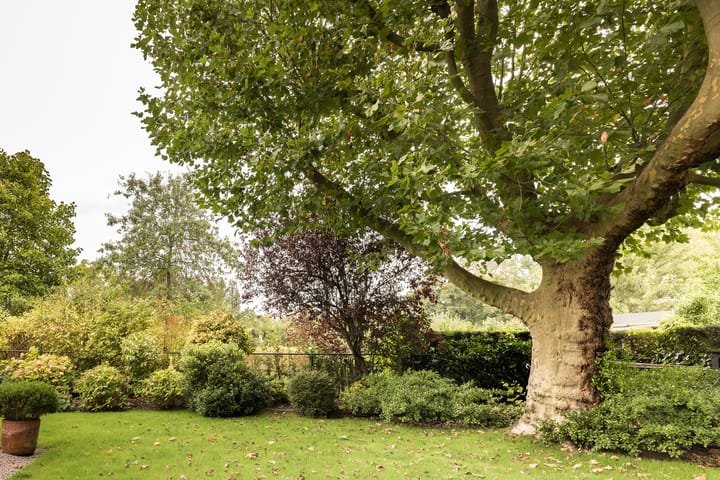 Foto 27 van Amsteldijk Noord 104-B