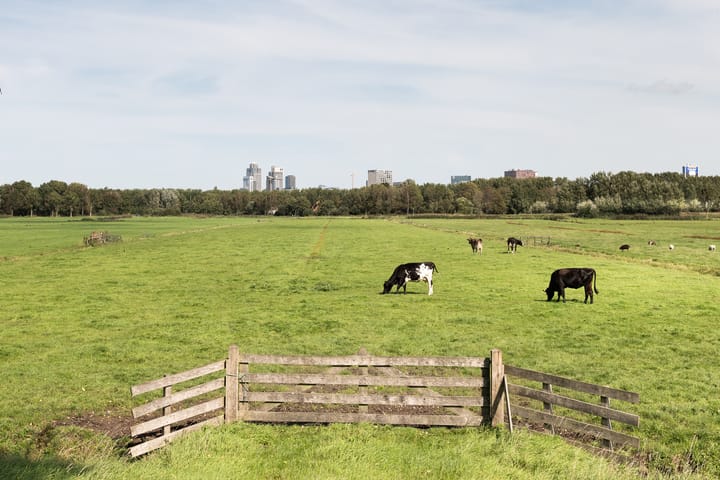 Foto 31 van Amsteldijk Noord 104-B