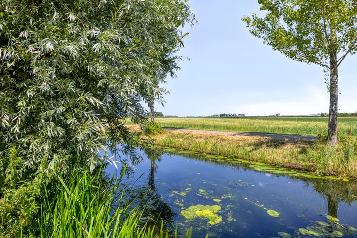 Foto 81 van Munsterkerk 43