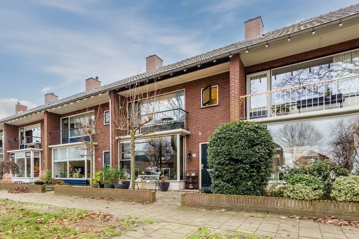 Foto 3 van De Wittenhagen 54