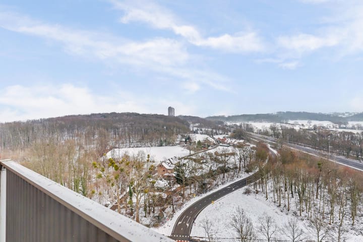 Foto 31 van Drieoortsput 105