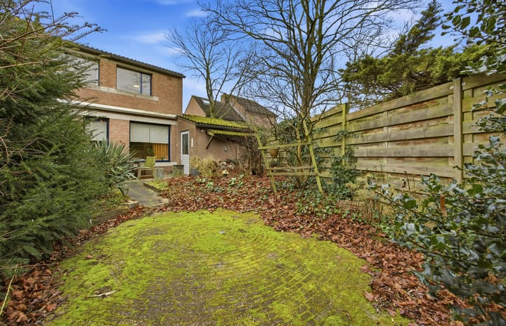 Foto 35 van Laagbos 3