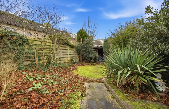 Foto 38 van Laagbos 3