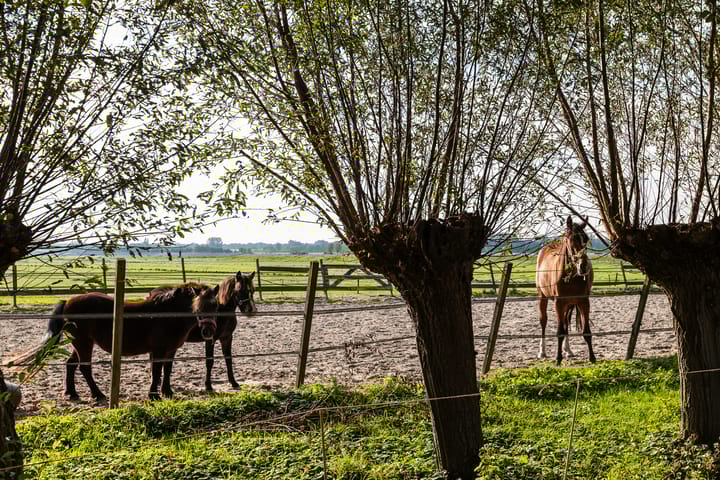 Foto 59 van Noordeinde 88