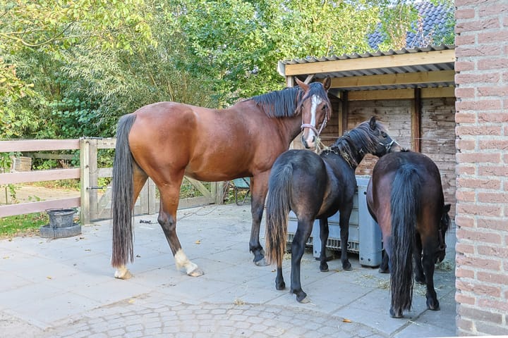 Foto 70 van Noordeinde 88