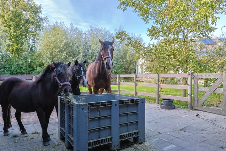 Foto 71 van Noordeinde 88