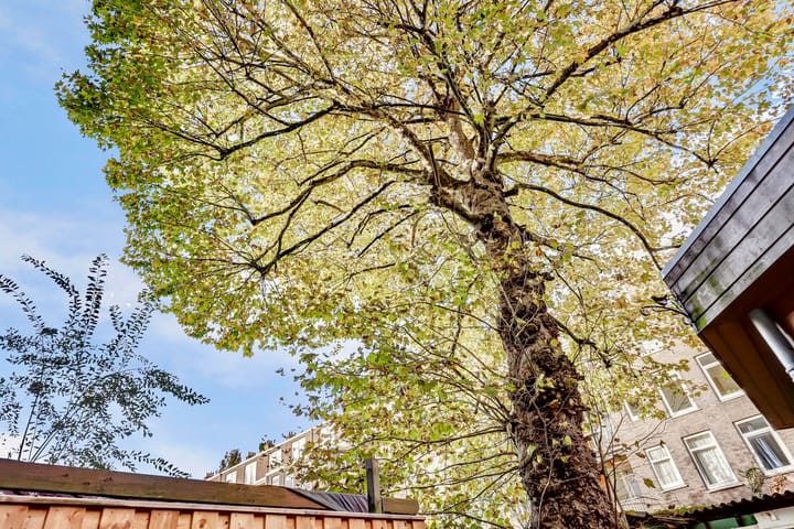 Foto 37 van Overtoom 502-H