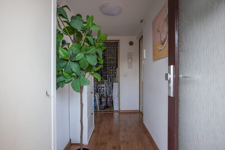 Foto 6 van Catsveld 111