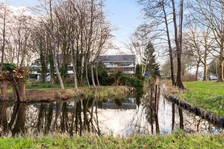 Foto 41 van Catsveld 111