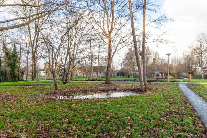 Foto 42 van Catsveld 111