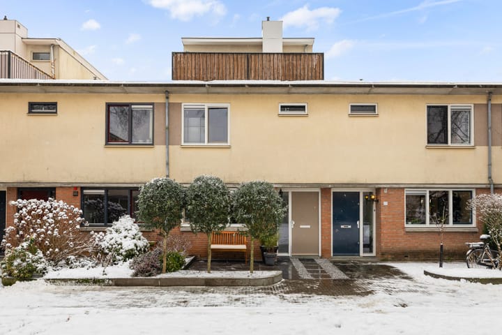 Leverkruid 15 main image