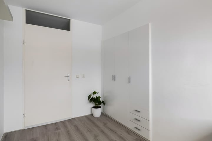 Foto 20 van Leverkruid 15