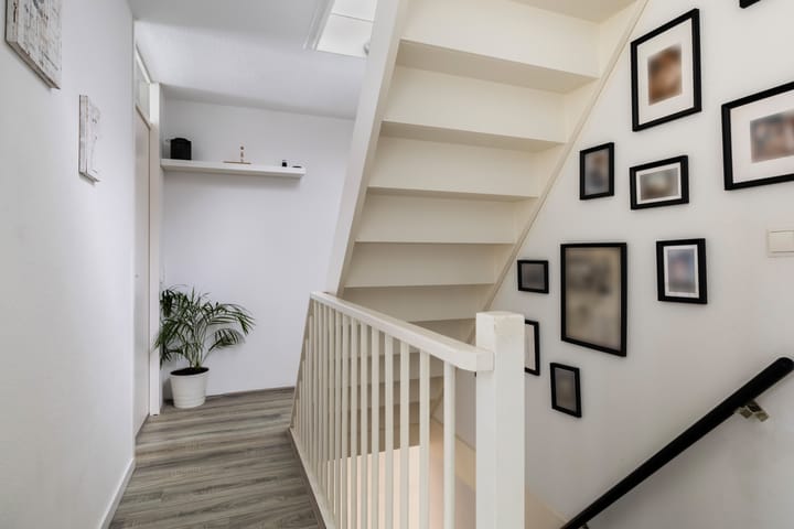 Foto 14 van Leverkruid 15