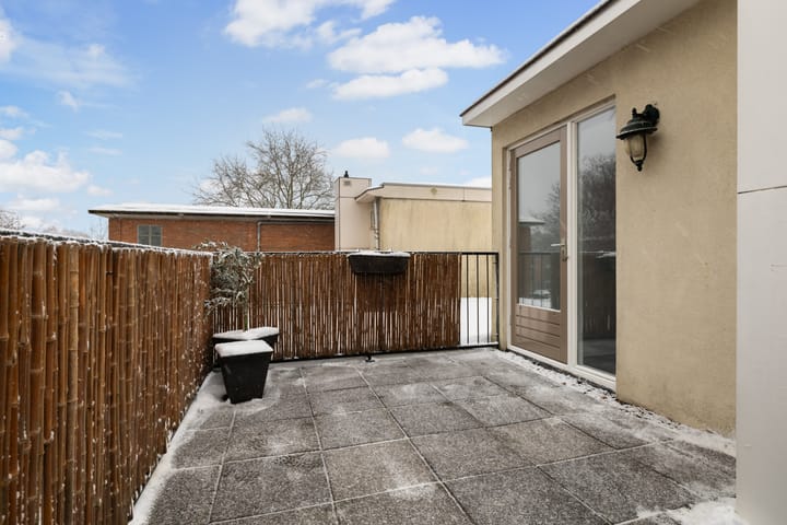 Foto 30 van Leverkruid 15