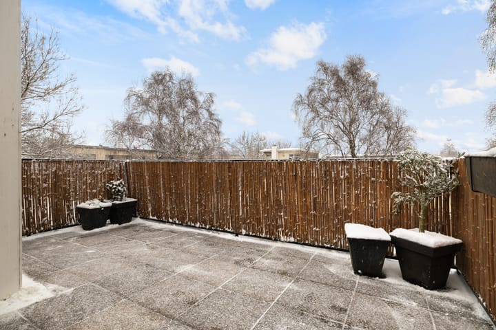 Foto 31 van Leverkruid 15