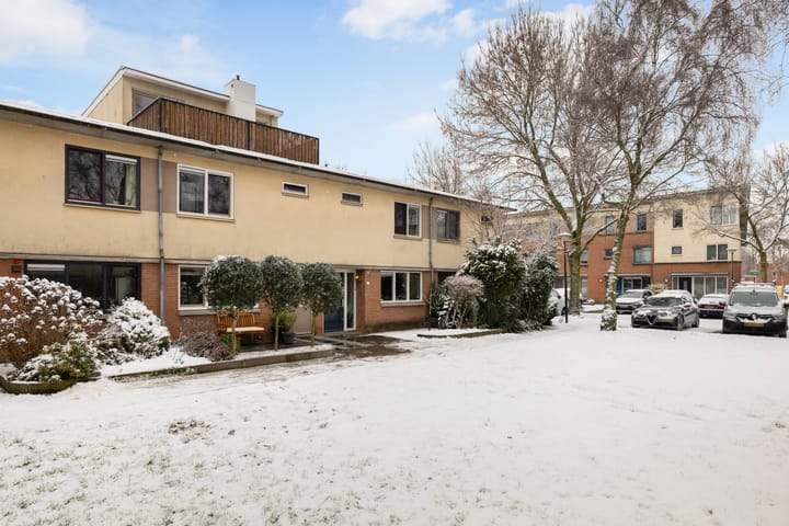 Foto 38 van Leverkruid 15