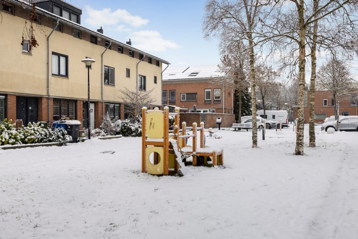 Foto 40 van Leverkruid 15