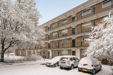 Pruimenlaan 50 secondary image