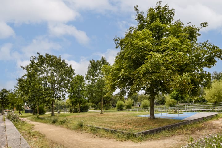 Foto 36 van Eurokade 50