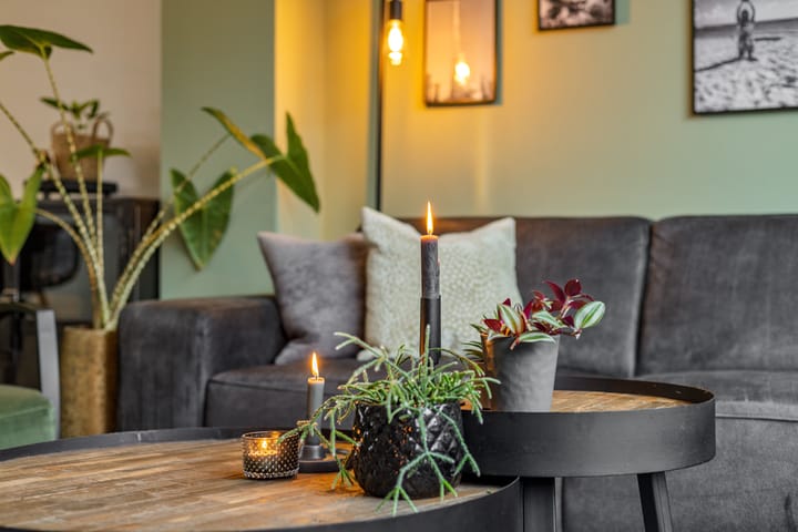 Foto 6 van Elzenseloop 62