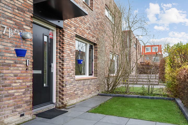 Foto 5 van Speerdistel 7