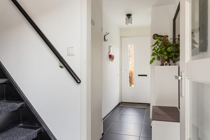 Foto 6 van Speerdistel 7