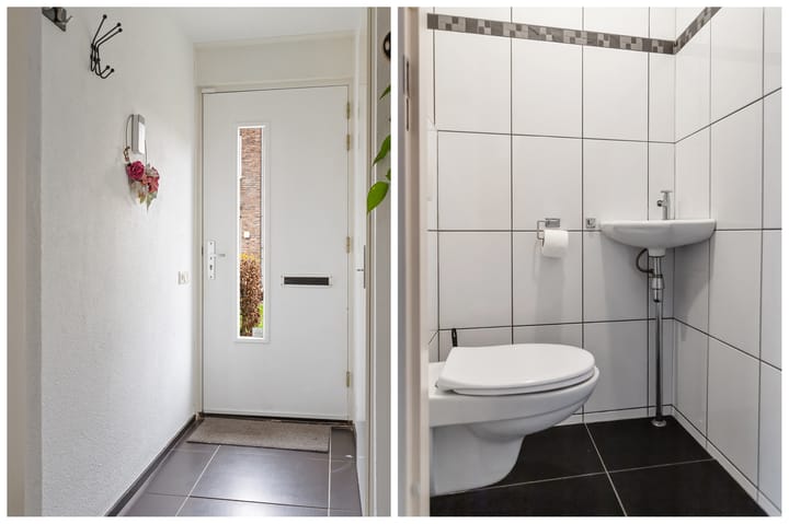 Foto 7 van Speerdistel 7