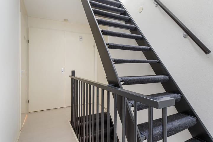 Foto 12 van Speerdistel 7