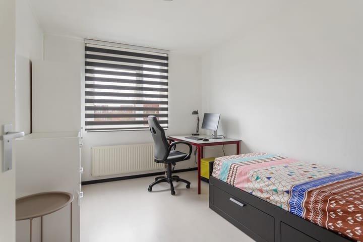 Foto 15 van Speerdistel 7