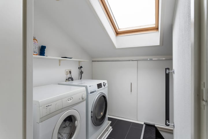 Foto 18 van Speerdistel 7