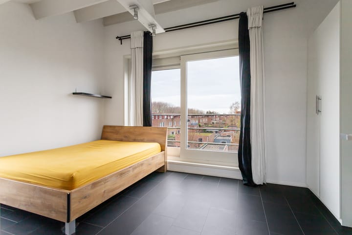 Foto 20 van Speerdistel 7